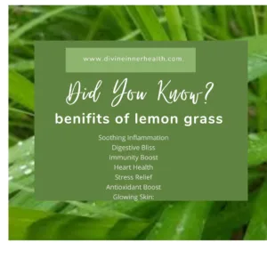 Lemon grass plant