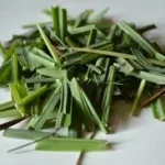 Lemon grass plant
