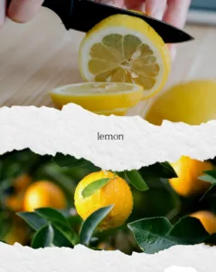 Olive oil and lemon